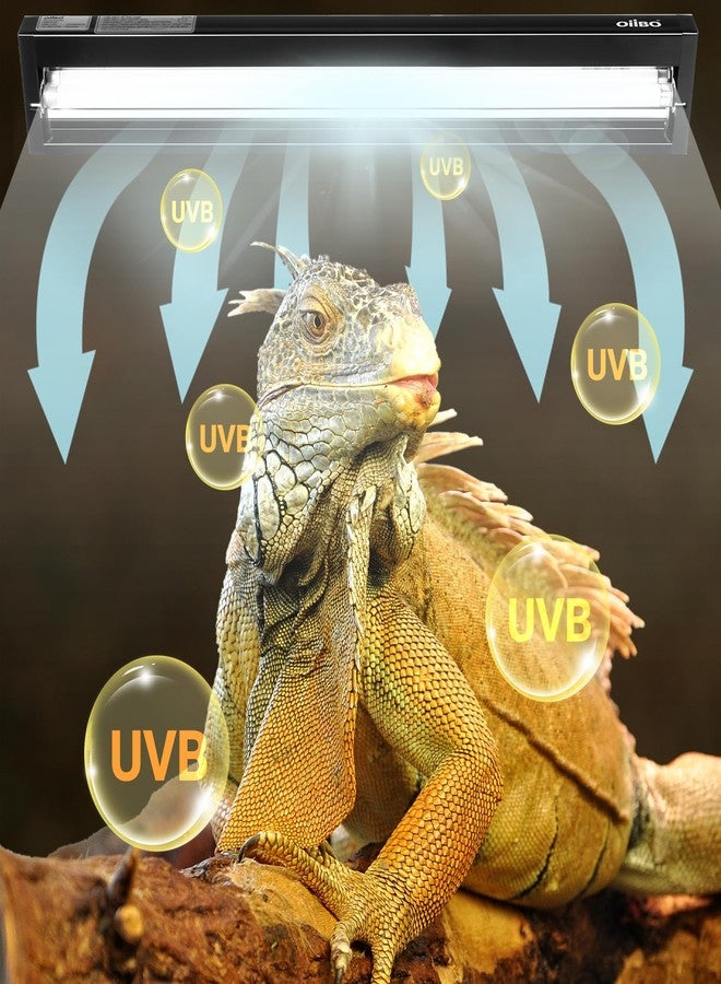 Oiibo T5 HO Reptile Light Fixture UVB Lighting Combo Kit, Terrarium Lamp Hood Light with UVB 10.0 for Bearded Dragon, Gecko, Lizard (39W) - Image 3
